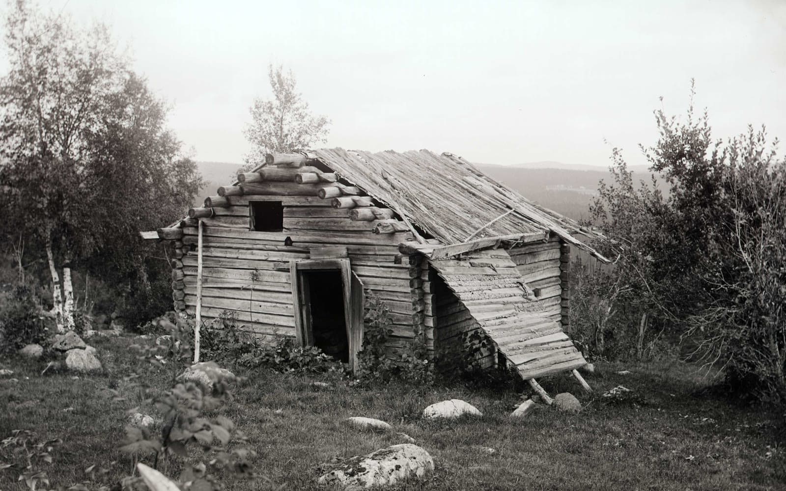 Gammalt svartvitt foto av en liten timrad badstuga med snett tak i en backe med träd.