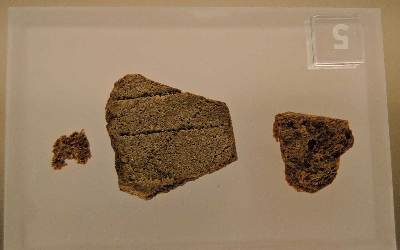 Tre bitar mörkt och torrt bröd i en museimonter